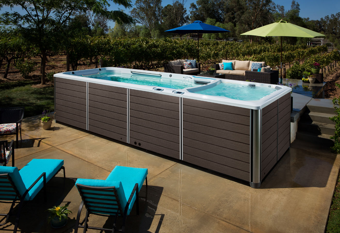 Swimspa e550
